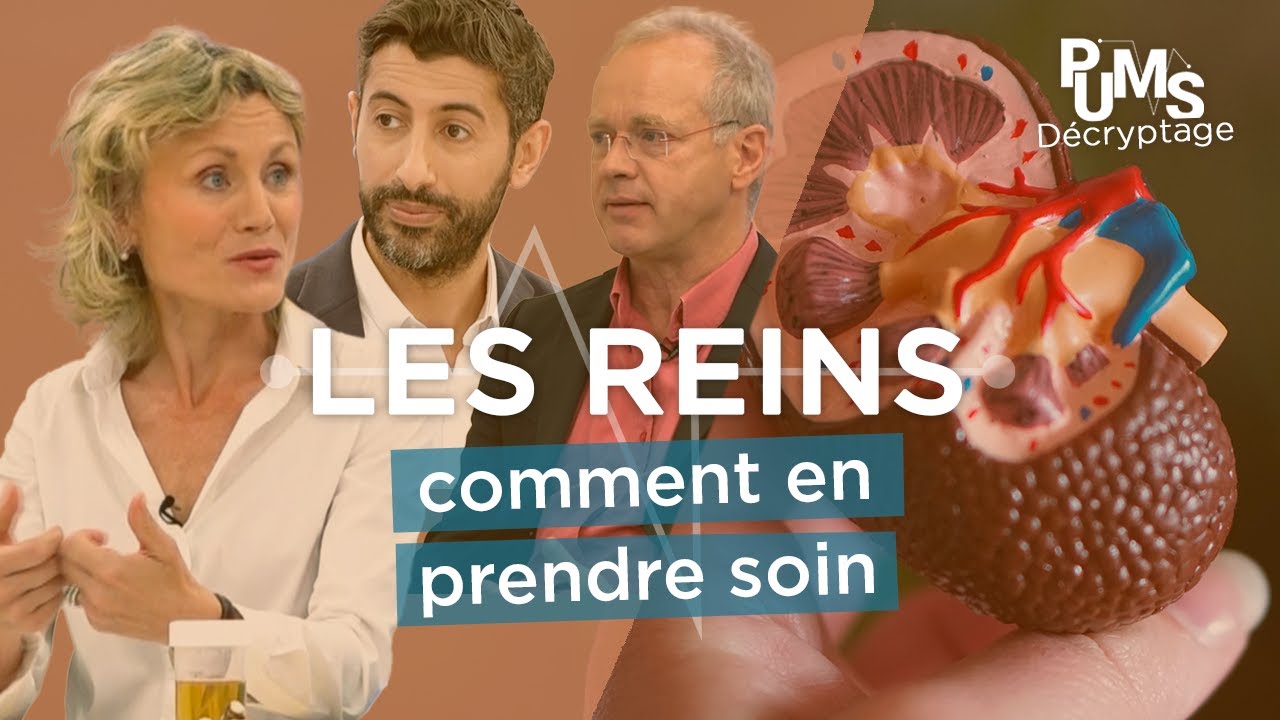 Comment protéger ses reins ? Insuffisance rénale, maladie rénale, calcul rénal, colique néphrétique
