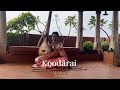 Bombay Jayashri Koodārai Official Video
