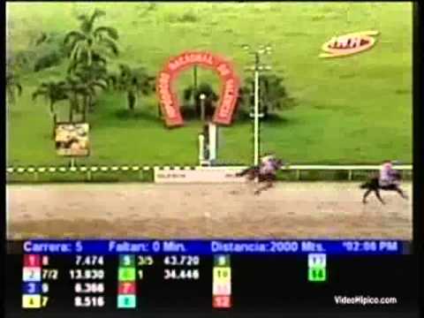 Resumen Viernes, 08 de Noviembre de 2013 - Valencia