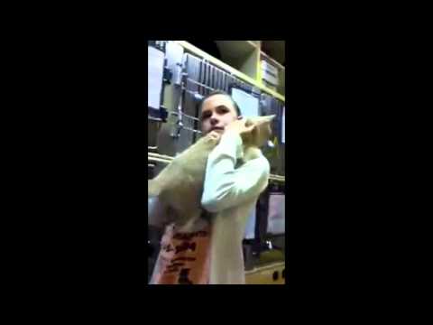 T.I. Live Your Life [Music Video Parody]