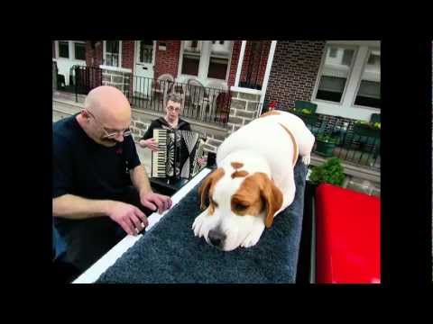 Traveling Piano - Neighborhood Street - Manayunk, Philadelphia, PA