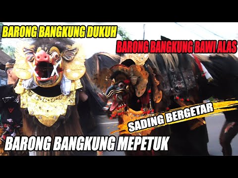 TAK DISANGKA DUA BARONG BANGKUNG INI BERTEMU DI JALAN RAYA SADING