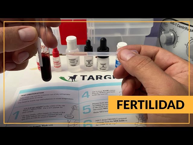 Vídeo relacionado con Detector de ovulación para perros 2 Prueba de progesterona impermeable LCD para perros con sonda magnética y cordón de la batería de cordón de la batería de embarazo Suministros de reproducción.