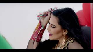 كلمات اغنية دار زايد احلام