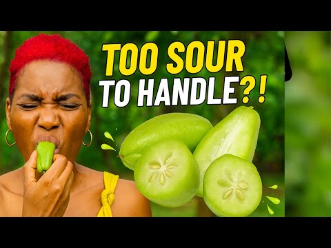 SOUR or DELICIOUS?! Jamaican Bilimbi Fruit Taste Test