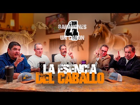 Essence and Nature of the Horse - EP02 4 Stallions and 1 Gelding, Agua Zarca Podcast, Spanish Horses