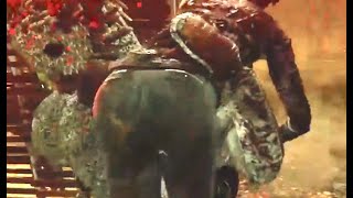 実はね、実はこっそりDBD実況してました