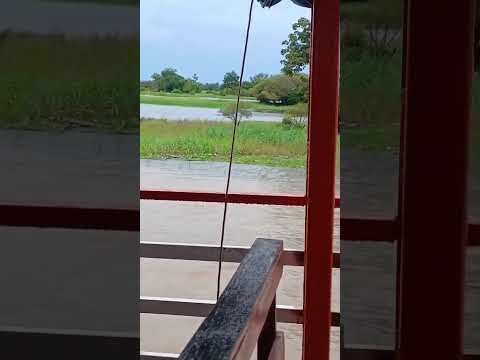 Rio Amazonas, próximo a cidade de Parintins e Vila Amazonas