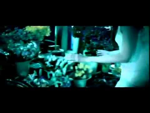 Burak Kut - Sonbahar