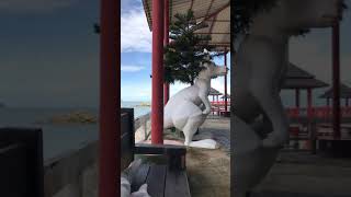 Download lagu Pantai Tanjung Bajau Singkawang mp3