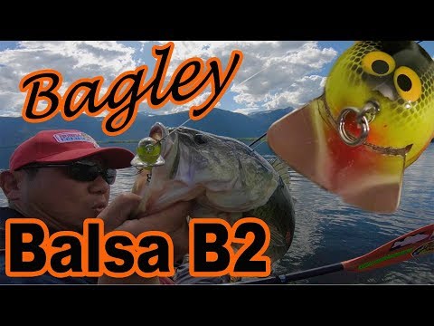 Bagley Balsa B2 Spring Bass Fishing -part1-
