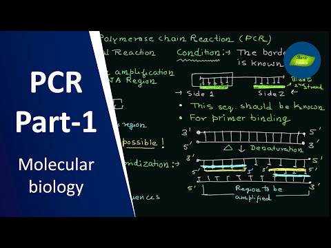PCR Part-1 | Polymerase Chain Reaction | Primer Concept | Molecular Biology | Basic Science Series