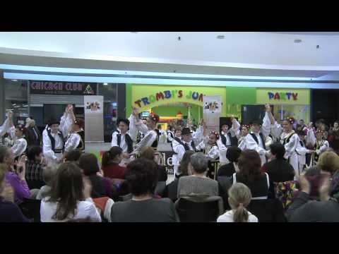 Ansamblul Folcloric "Zarandul" al Palatului Copiilor Arad