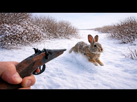 Winter Rabbit Hunting in Deep Snow! (Public Land)