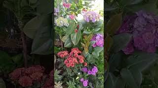 Download lagu Jangan pernah dengarkan apa kata orang, teruslah maju #motivasihidup#dailytanfamily mp3