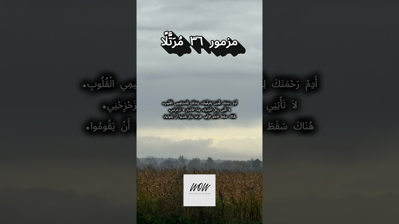 فيديو تفسير الكتاب المقدس | الكتاب المقدس رفيقي