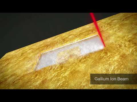 ZEISS Microscopes and X-Ray - Combine Multiple Imaging Technologies