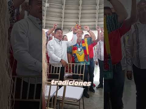 plenaria constituyente pueblos indígenas