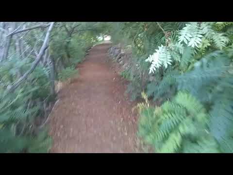 Enchanted Forest Path of College of Southern Idaho