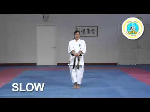 13. Niseishi Shito Ryu