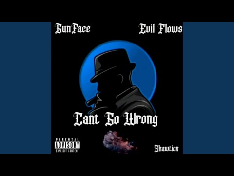 Cant Go Wrong (feat. GunFace & Evil Flows)