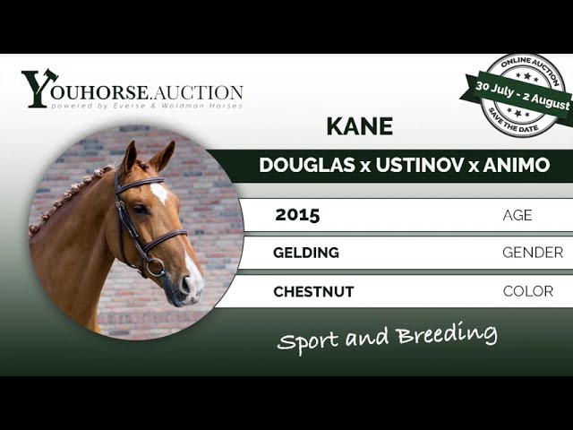Kane @ show