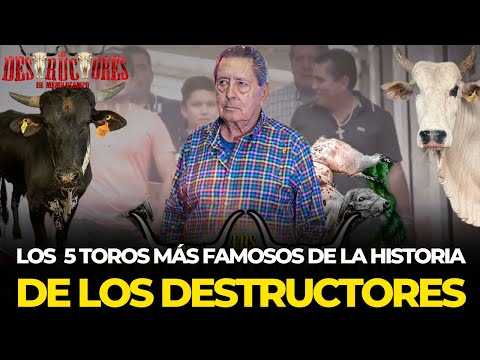El Top 5 de los mejores toros de los Destructores 🐮🇲🇽