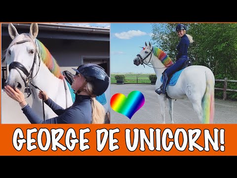 , title : 'GEORGE OMTOVEREN TOT UNICORN! 🦄 | PaardenpraatTV'