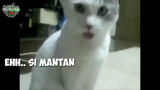 Download lagu Status WA Buat Mantan (kocak) mp3