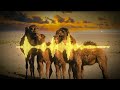 Chaam Ti Khumarain Nazeer Jan Balochi Song NewBalochi Song 2024 Irani Balochi Song Nazeerjan