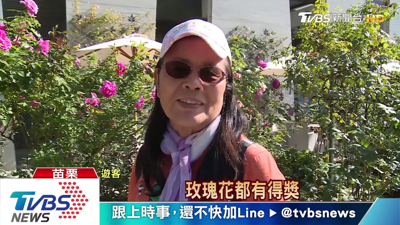 號稱全台最大玫瑰花園! 各色花遊客搶打卡