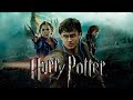 Harry Potter Freindship Status Harry Hermoine Ron Weasley
