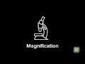 How To Calculate Magnification