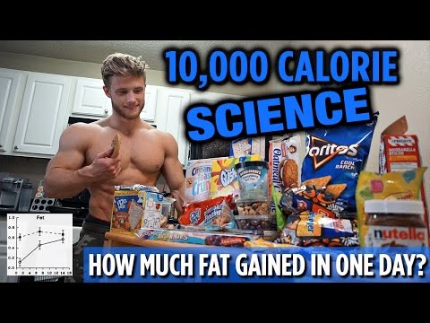 10,000 Calorie Challenge SCIENCE Explained | How Much Fat Gained in One Day?