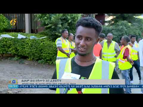 ለሰላም ዘብ የቆሙት የባህር ዳር ከተማ በጎ ፍቃደኞች