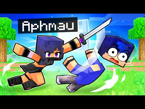 Playing Minecraft as a PROTECTIVE NINJA!