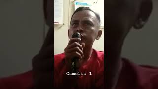 Download lagu Ebiet.G.Ade #Camelia 1 #Shorts mp3