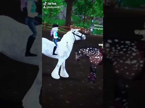 Ruzie over op tiktok staan