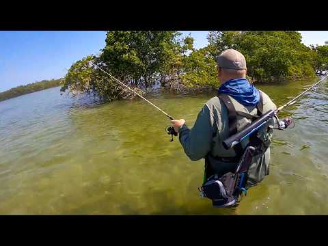 Flats Fishing for Beginners: Where to Look for Redfish, Snook, Trout, and More