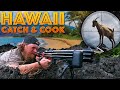 AIR RIFLE Wild Hawaiian GOAT Catch Clean And Cook Ep 4 Of 5 Hawaii Catch And Cook