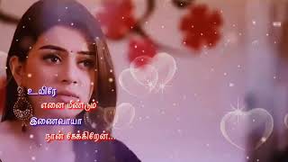 Whatsapp Status Tamil 2018🖒💗uyire ennai meen