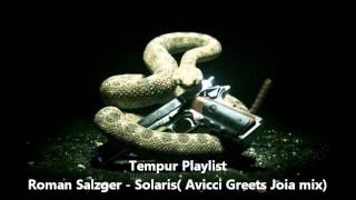 Roman Salzger - Solaris ( Avicci Greets Joia Mix )