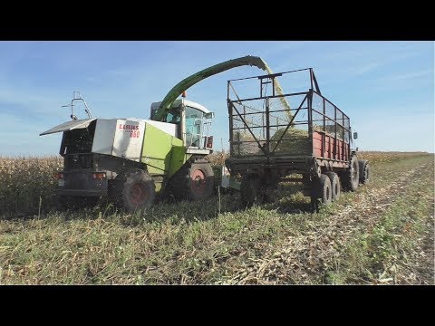 Уборка кукурузы на силос Заготовка зеленной массы