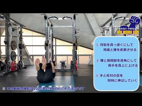 体育学科 IPU Workout  デッドバグ