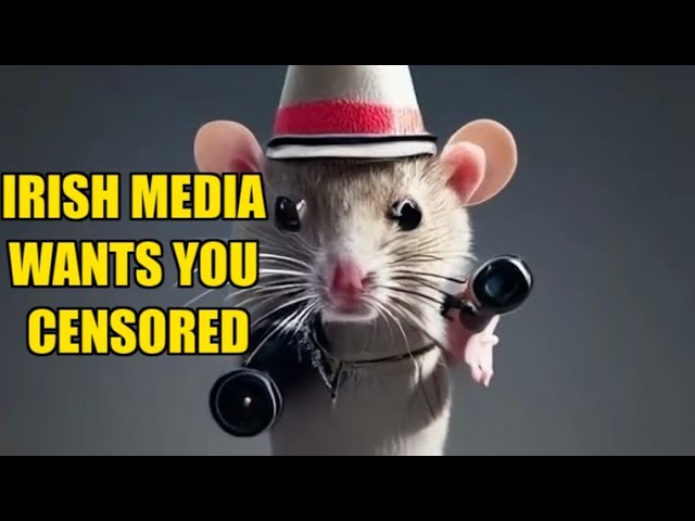 https://img.youtube.com/vi/FddJ-6e1xkI/sddefault.jpg