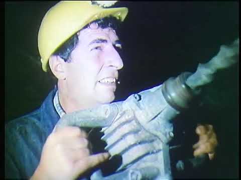 Shkëlqim i përkohshëm 1988