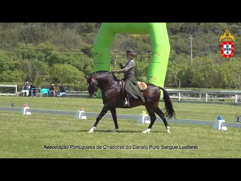 220430 Masters Prova de Ensino III Jornada CNET e Internacional