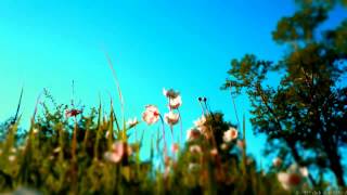 Jallen - Dreamcatcher (AJ's DreamCaster Remix)