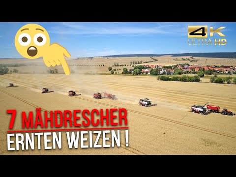 Agrar-GmbH Oldisleben: Konventioneller- und Bio-Ackerbau auf 3700 Hektar (Getreideernte / Teil 3)