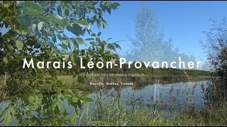 preview picture of video 'Marais Léon-Provancher v 2 • The Léon-Provancher Marsh'